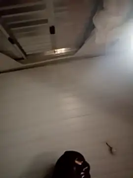 Kidding_Road live sex cam