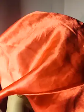 belliginger's cam snapshot