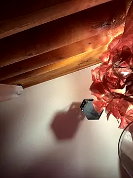 skarrrlettt's cam snapshot