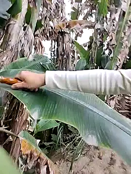 Tin_tanny's cam snapshot