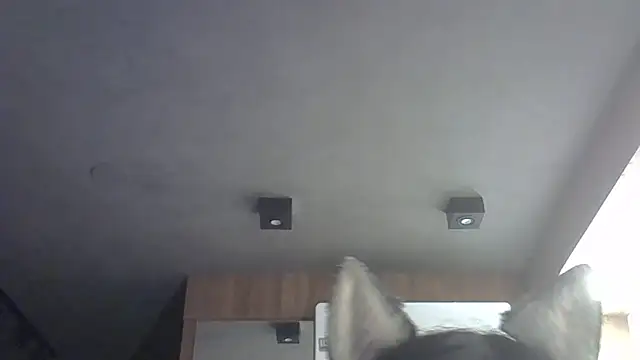 SkinnyKitten live sex cam