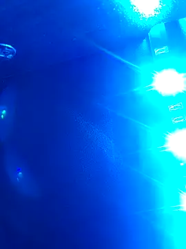 Sofiatheboss live sex cam