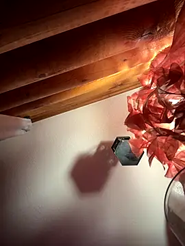 skarrrlettt's cam snapshot