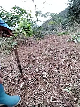 galaxy898's cam snapshot