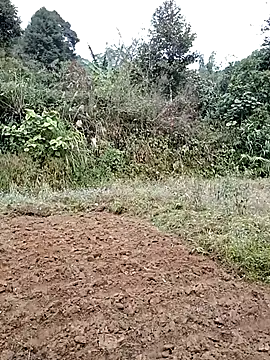 hera-00's cam snapshot