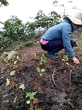 galaxy898's cam snapshot