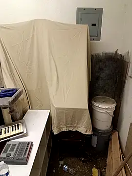 Paidbat live sex cam