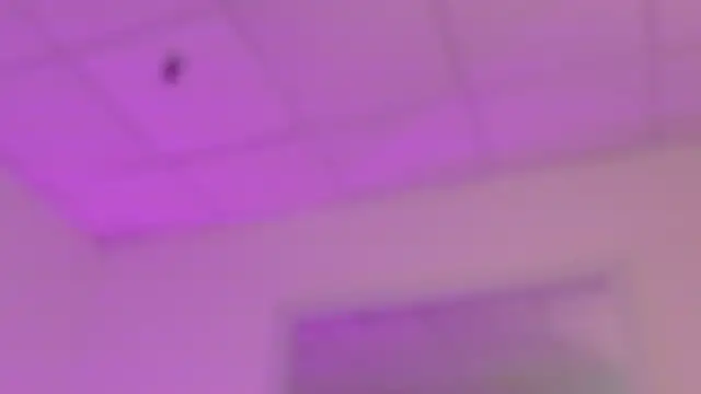 Saarada's cam snapshot