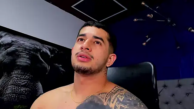 king_falconer's cam snapshot