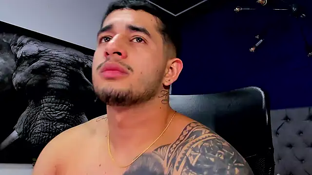 king_falconer's cam snapshot