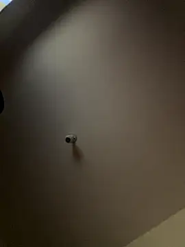 Weendolyn_ live sex cam