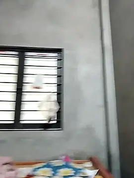 kute-00's cam snapshot