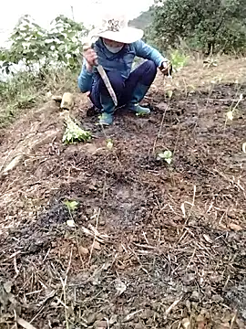 galaxy898's cam snapshot