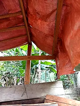 Ngocmi909's cam snapshot