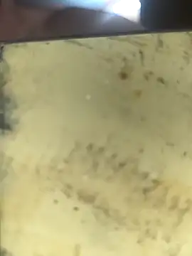 Midwestalpha's cam snapshot