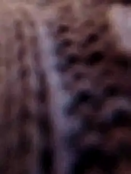 Hot-Sana2's cam snapshot