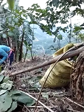 galaxy898's cam snapshot