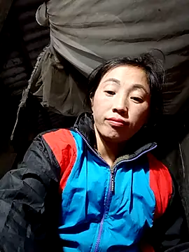 seacyre's cam snapshot