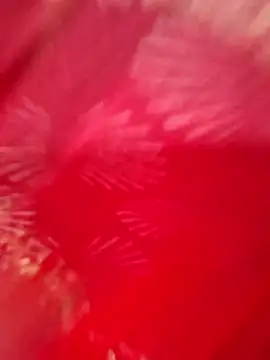 SWETS_MOHINI's cam snapshot