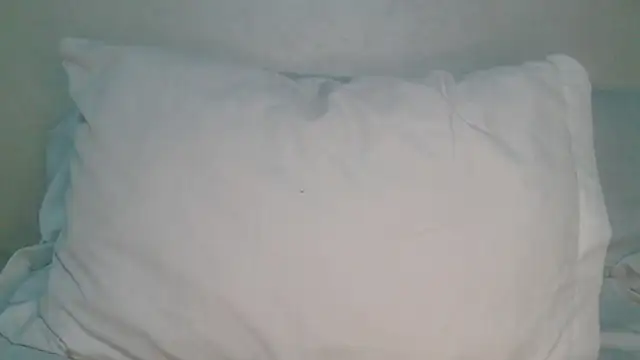 roccosif696 live sex cam