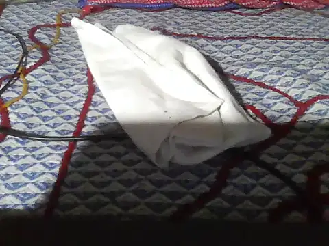 Stubborndesiboy live sex cam