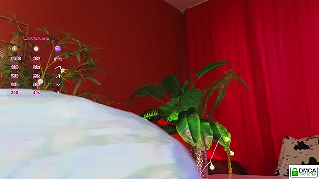 soft_animal_'s cam snapshot