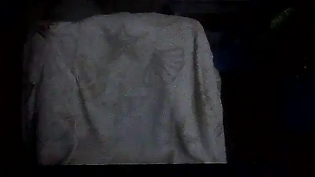 Yana-fiesta's cam snapshot