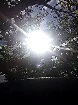 CrabbingRenting live sex cam