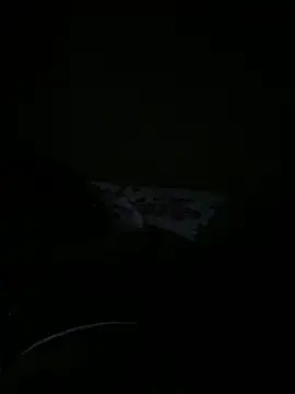 ONestark's cam snapshot