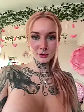 Stella-Kink's cam snapshot