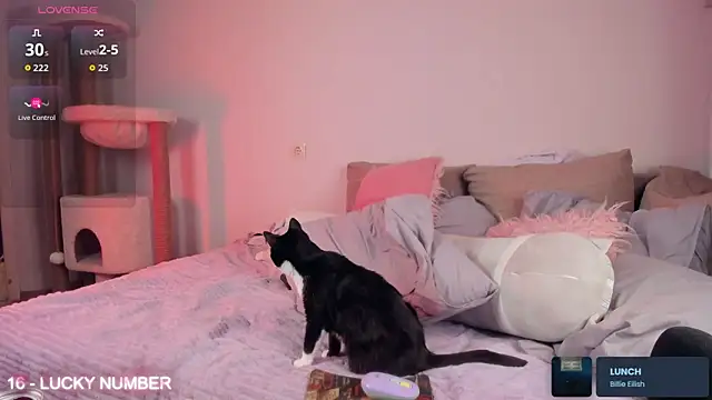 ms_allison_w's cam snapshot