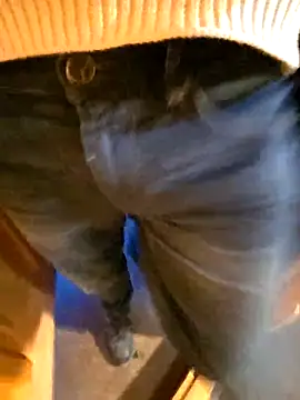 Lorent6969 live sex cam