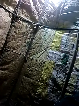 NENSH34's cam snapshot