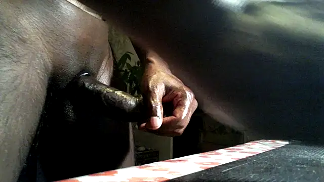 frenchblackc31 live sex cam