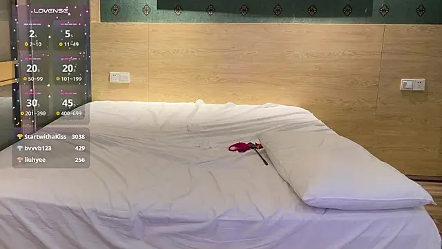 SL-99's cam snapshot