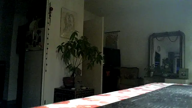 frenchblackc31 live sex cam