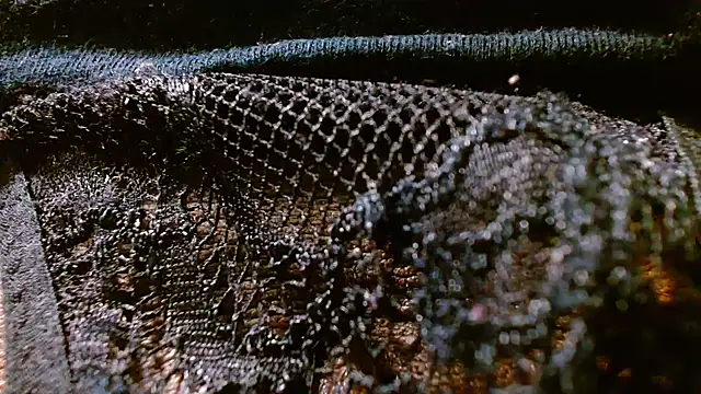 bethanywilson_23 live sex cam