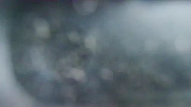 YourHotGreg's cam snapshot