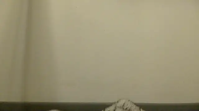 beurette_sahara's cam snapshot