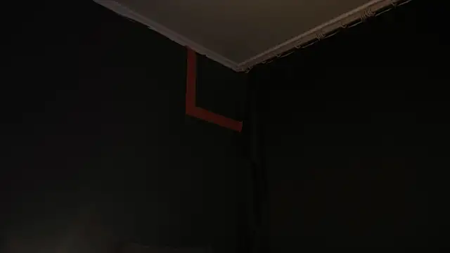 RODARRI live sex cam