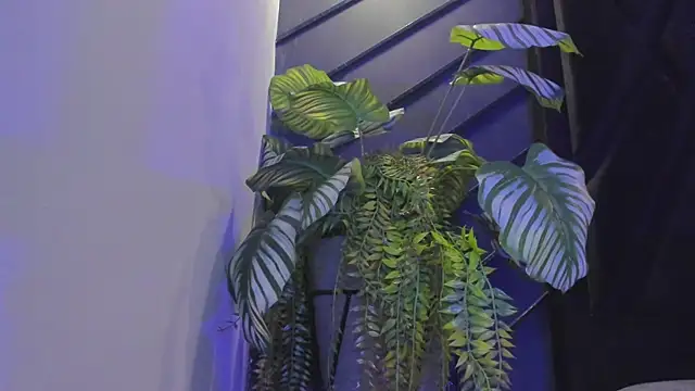 Alahia_Dangelo live sex cam