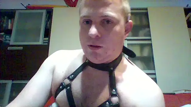 Matttthees's cam snapshot