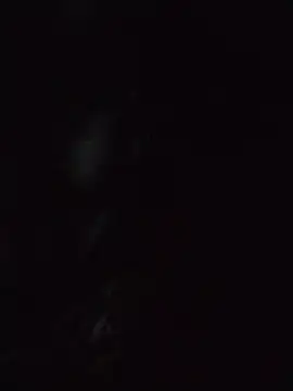 Poojadick live sex cam