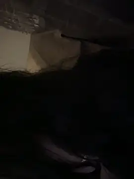 Alexa_monica's cam snapshot