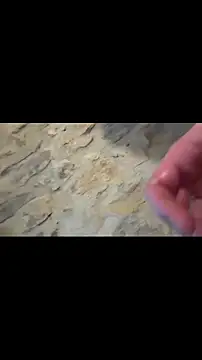 yann2392's cam snapshot