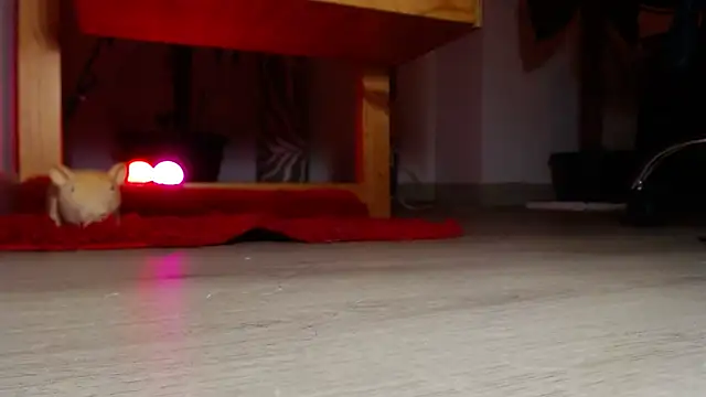 yourmajesty's cam snapshot