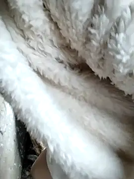 galaxy898's cam snapshot