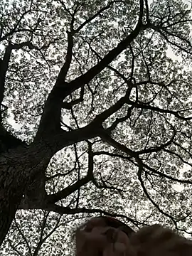 Melody-baby69's cam snapshot