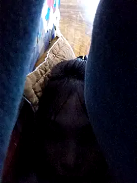 Soursop-op's cam snapshot