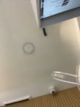 clarachanelricek live sex cam